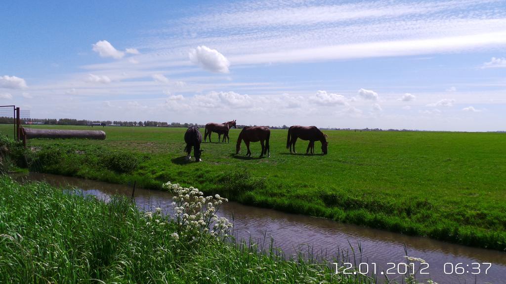 Bed & Breakfast Prins Hendrik Zuidschermer Exteriér fotografie