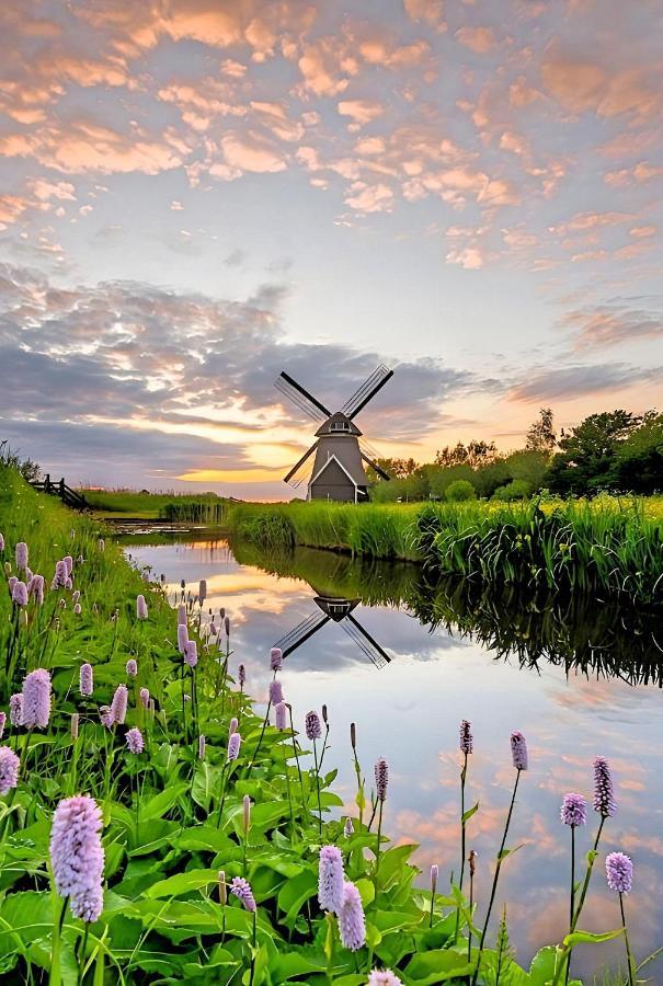 Bed & Breakfast Prins Hendrik Zuidschermer Exteriér fotografie