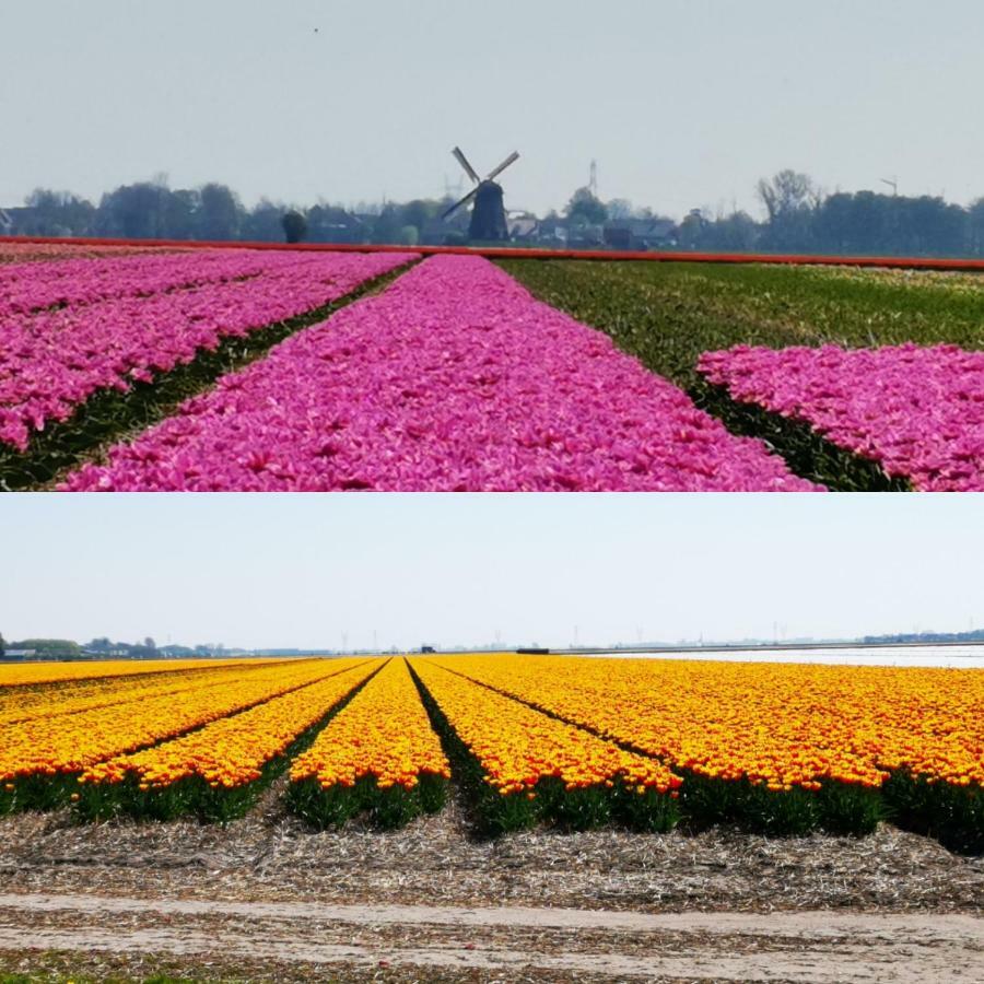 Bed & Breakfast Prins Hendrik Zuidschermer Exteriér fotografie